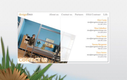 Design Lines Group